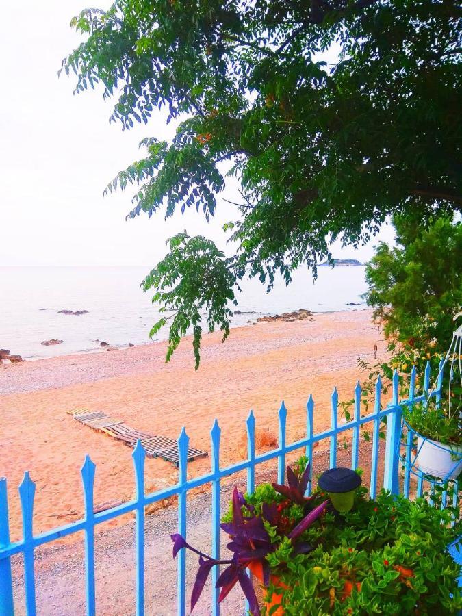 Vama Stegna
