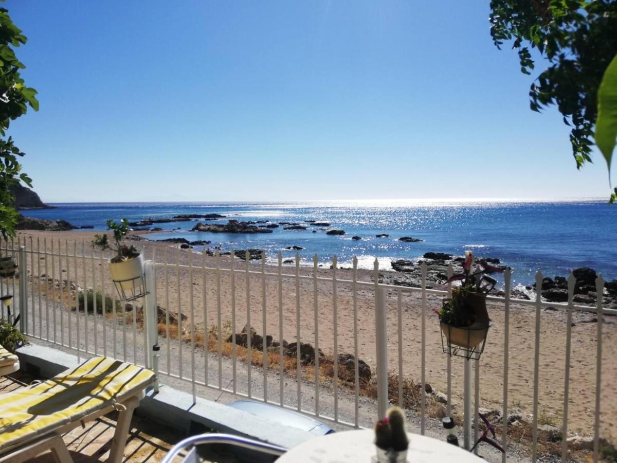 Vama Stegna